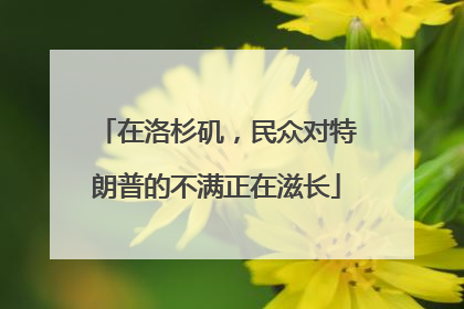 在洛杉矶，民众对特朗普的不满正在滋长